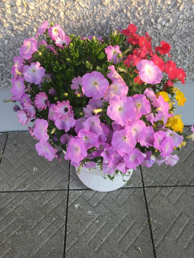 Seacrest B&B Galway Extérieur photo