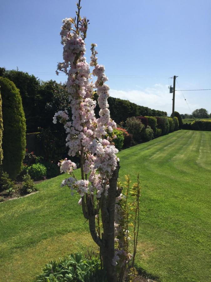 Seacrest B&B Galway Extérieur photo